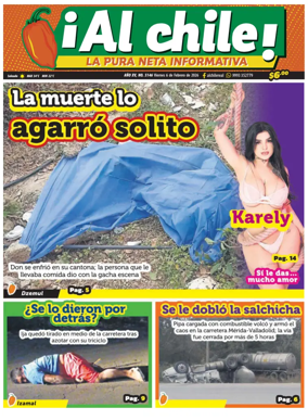 Cover of Al chile