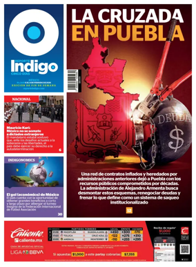 Cover of Reporte Indigo Nacional