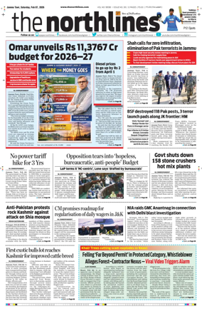 Cover of The Northlines