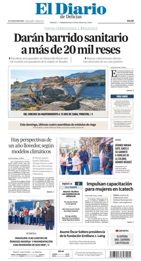 Cover of El Diario de Delicias