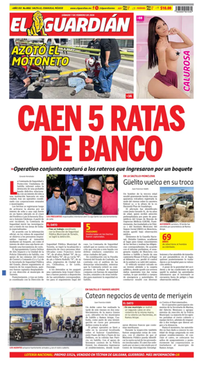 Cover of El Guardian