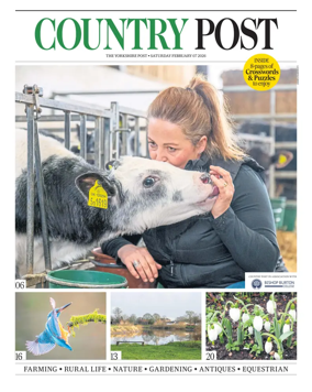 Cover of Country Week