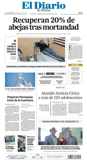 Cover of El Diario de Delicias