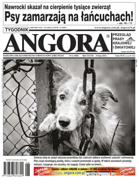 Cover of Angora