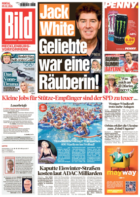 Cover of BILD Mecklenburg