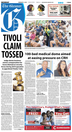 Cover of The Gleaner