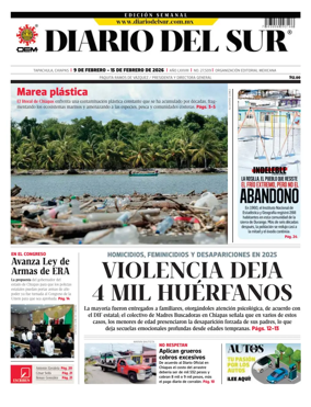 Cover of Diario del Sur