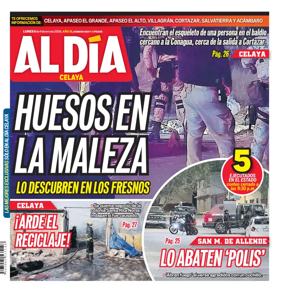 Cover of Periodico Al Dia (Celaya)