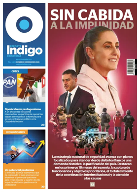 Cover of Reporte Indigo Nacional