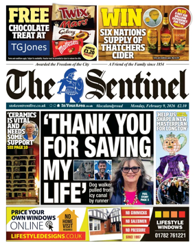Cover of The Sentinel