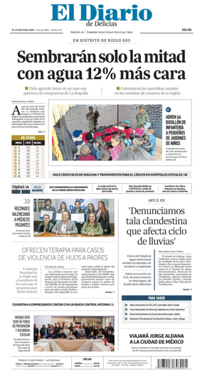 Cover of El Diario de Delicias