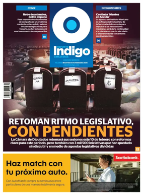 Cover of Reporte Indigo Nacional