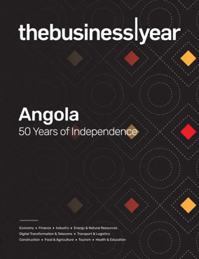 Cover of The Business Year