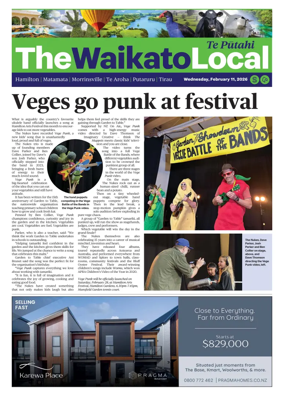 Cover of The Waikato Local