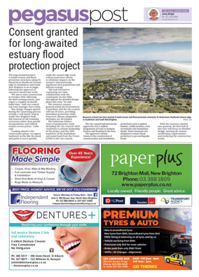 Cover of Pegasus Post