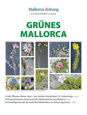 Cover of Suplemento 1