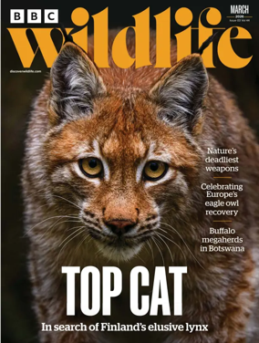 Cover of BBC Wildlife Magazine