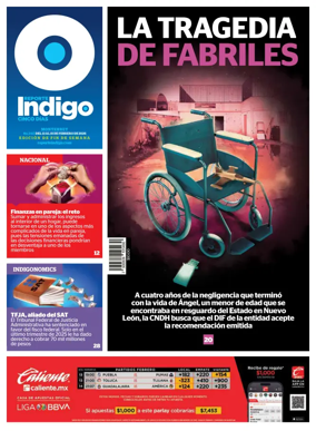 Cover of Reporte Indigo Monterrey