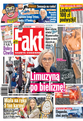 Cover of Fakt