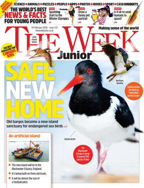 Cover of The Week - Junior