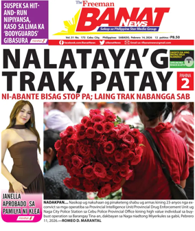 Cover of Banat News
