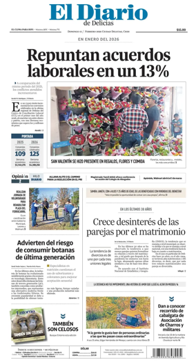Cover of El Diario de Delicias