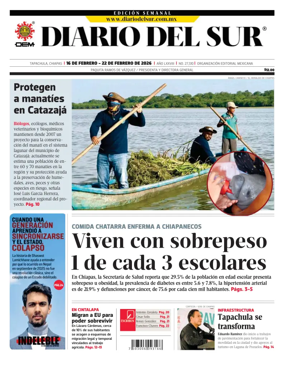 Cover of Diario del Sur