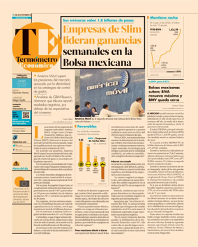 Cover of Termometro Economico