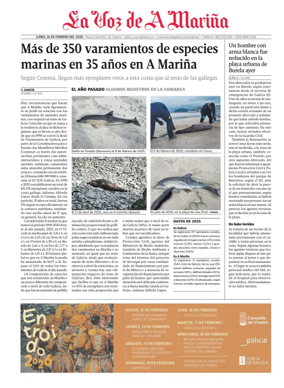 Cover of Viveiro local