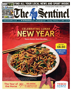 Cover of The Sentinel