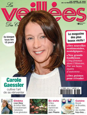 Cover of Les veillees des chaumieres