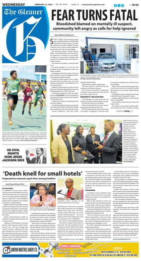 Cover of The Gleaner