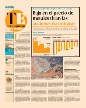 Cover of Termometro Economico
