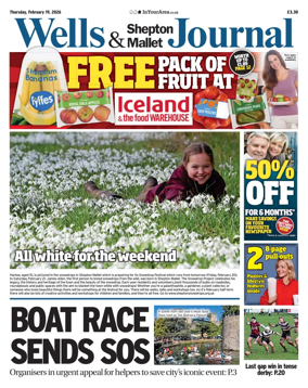 Cover of Wells Journal