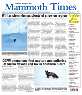Cover of Mammoth Times