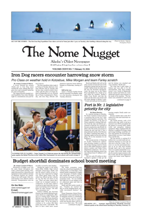 Cover of The Nome Nugget