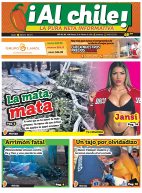 Cover of Al chile