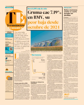 Cover of Termometro Economico