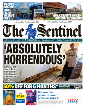 Cover of The Sentinel