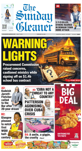 Cover of The Gleaner