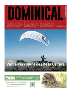 Cover of Dominical