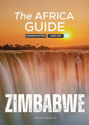 Cover of The Africa Guide