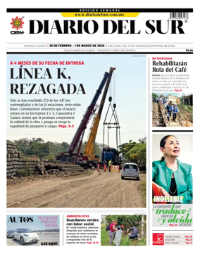 Cover of Diario del Sur