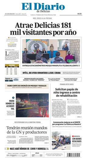 Cover of El Diario de Delicias