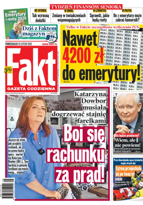 Cover of Fakt