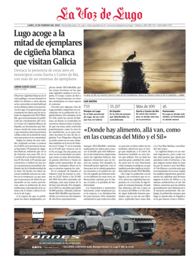 Cover of Monforte local