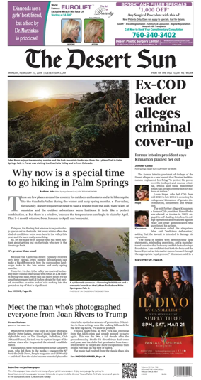 Cover of The Desert Sun