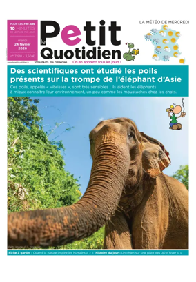 Cover of Le Petit Quotidien