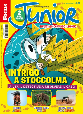 Cover of Focus Junior