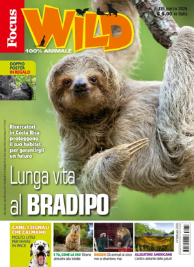 Cover of Focus Wild